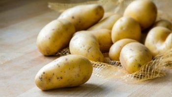 Receitas de batata em conserva