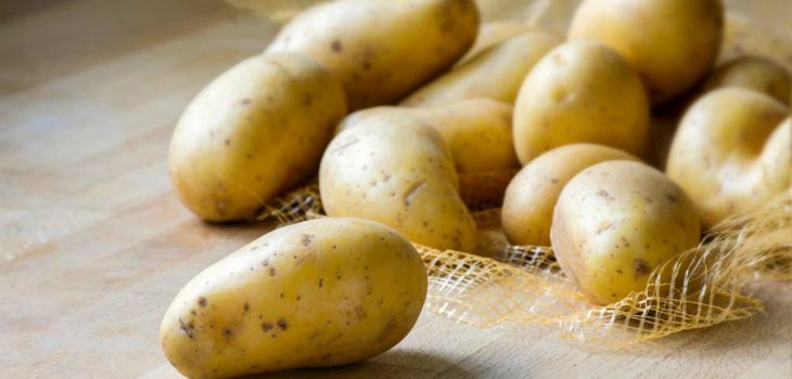 Receitas de batata em conserva