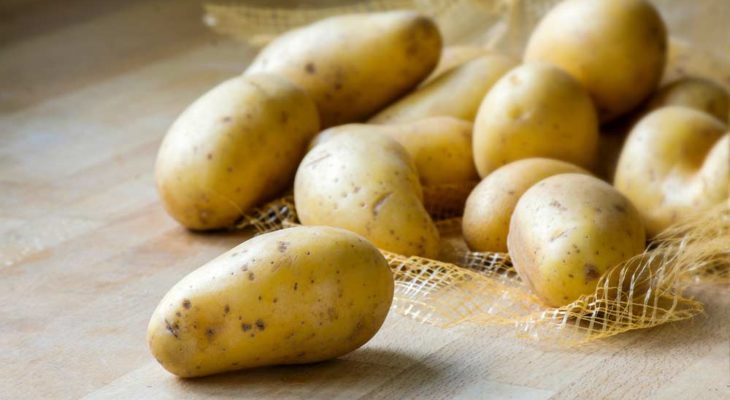 Receitas de batata em conserva